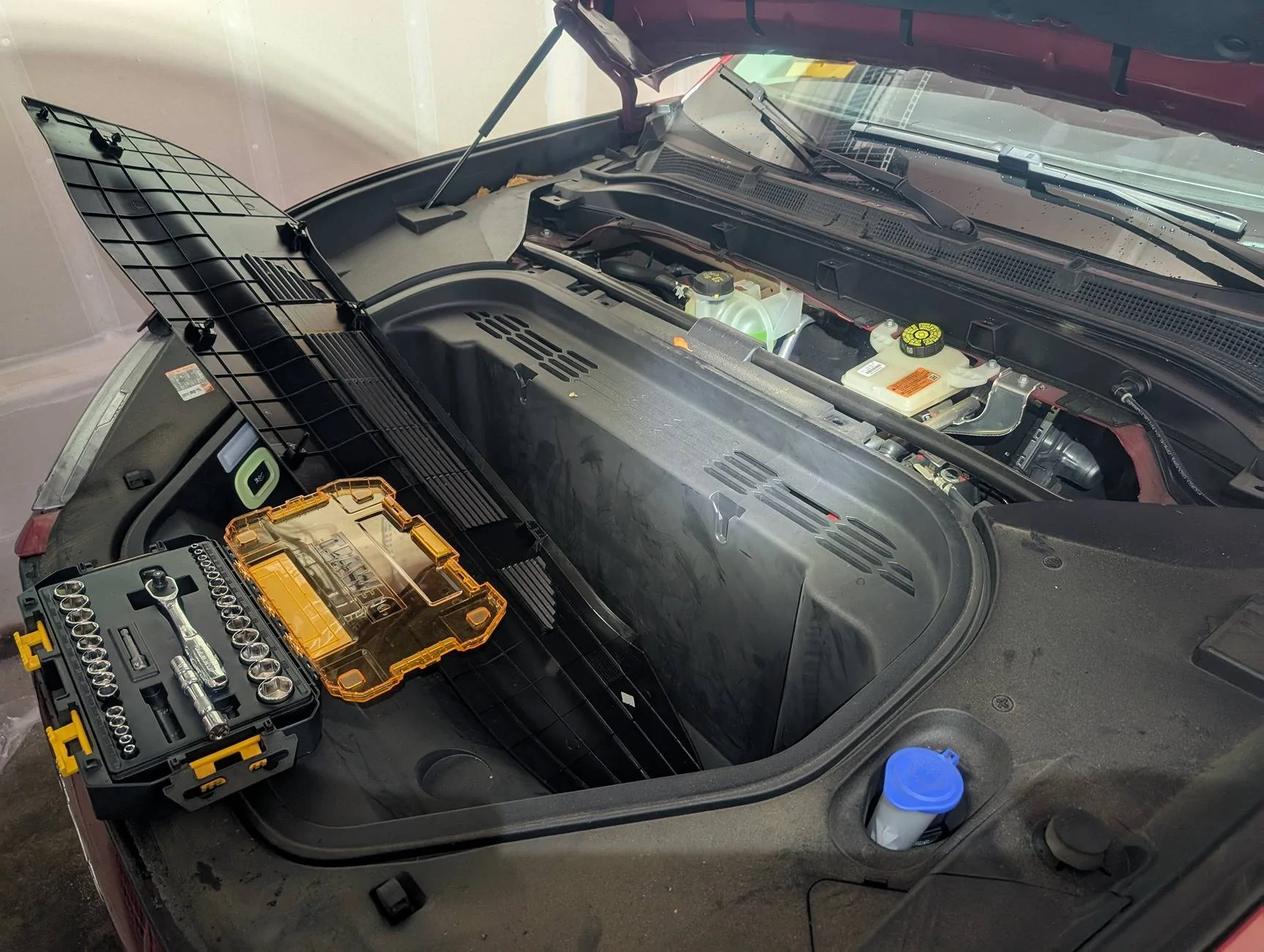 Ford Mustang Mach-E Stuck on "Getting the latest software update status..." PXL_20250201_200140272