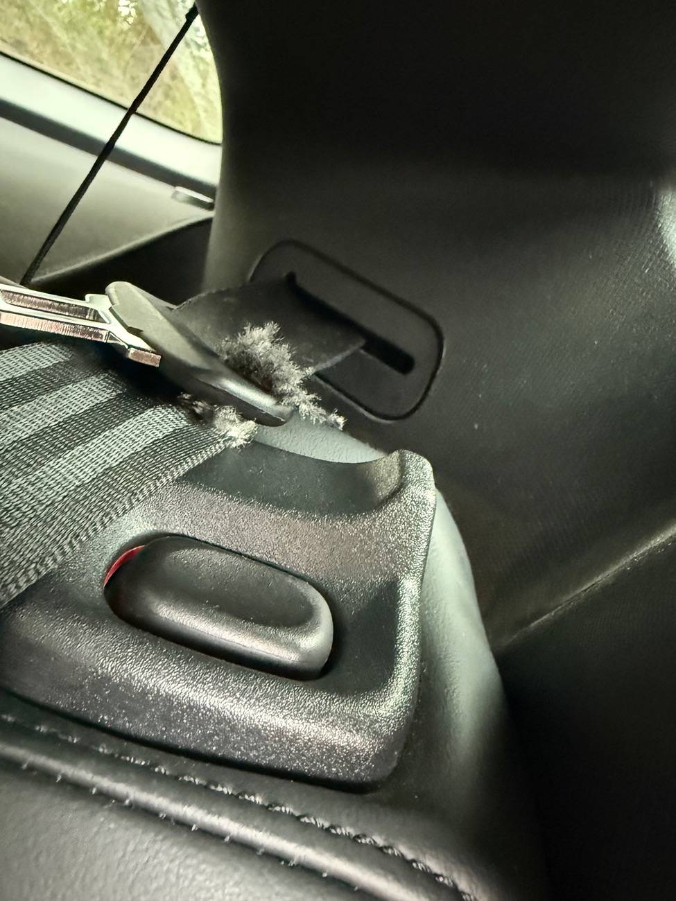 Ford Mustang Mach-E Seatbelt Damage IMG_5560