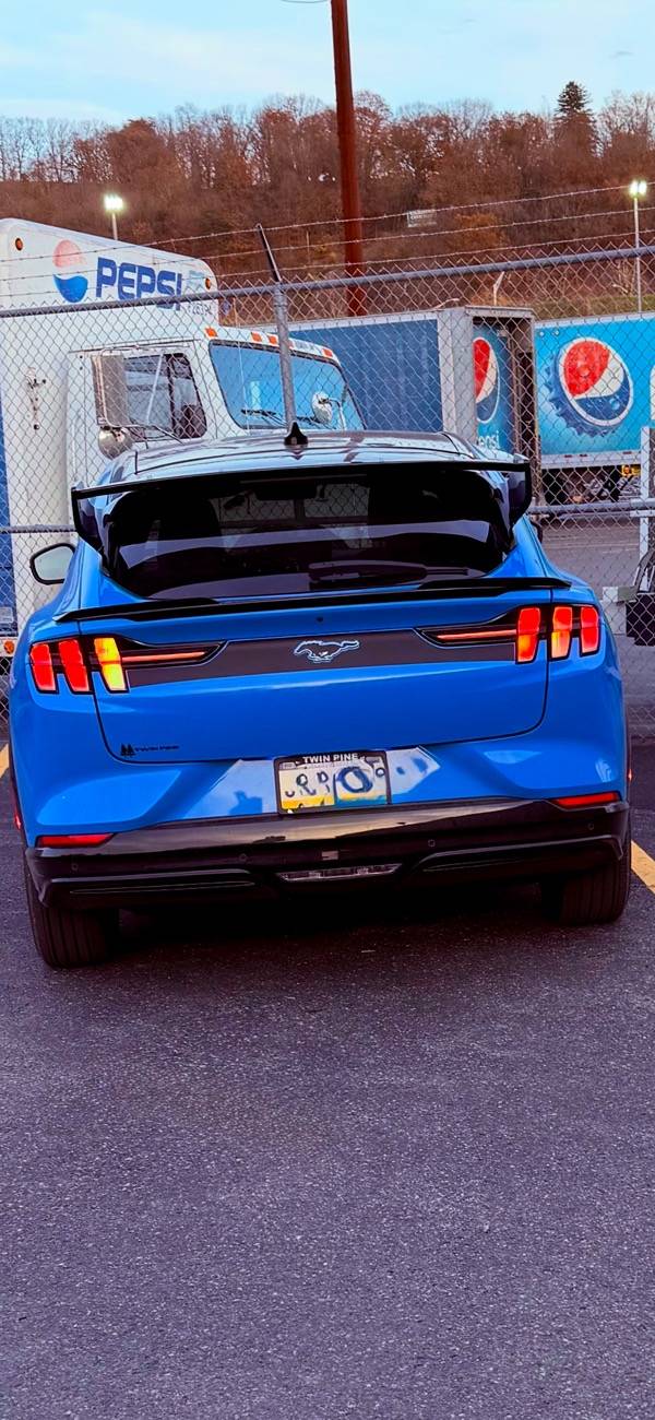 Ford Mustang Mach-E Grabber Me A New Ride IMG_0602