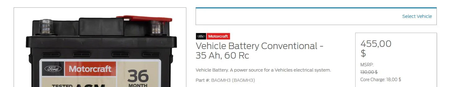 Ford Mustang Mach-E 12V Battery FAQ 1739617860546-za