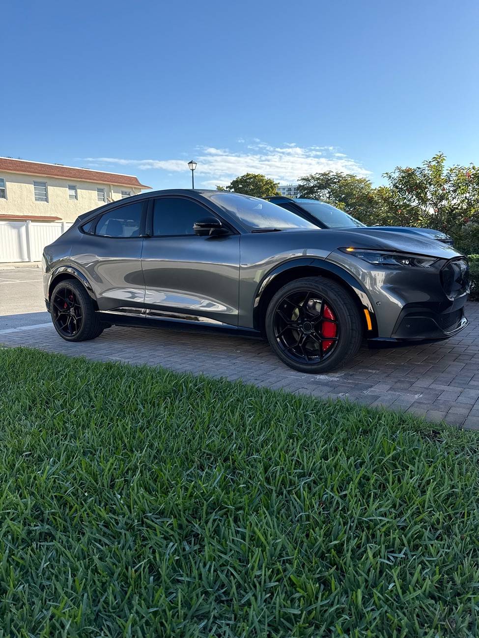 Ford Mustang Mach-E New Member - looking for advice image