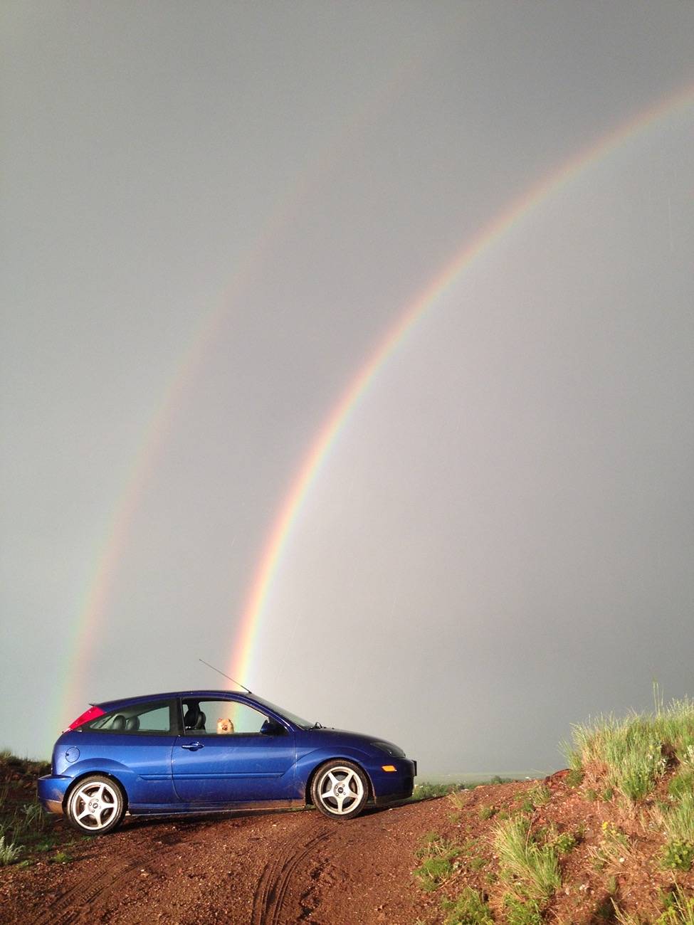 Ford Mustang Mach-E Grabber Blue vs. Velocity Blue 1740839247217-7f
