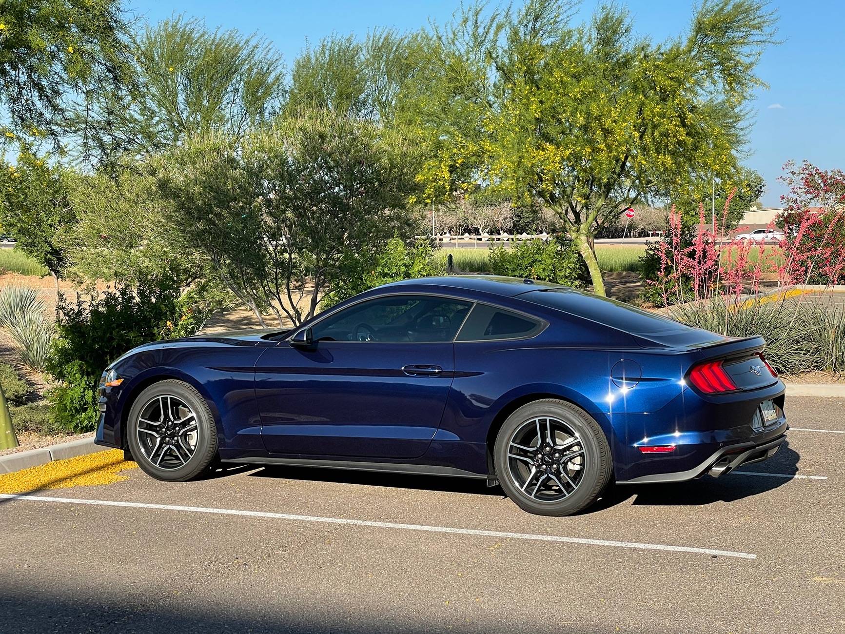 Ford Mustang Mach-E Grabber Blue vs. Velocity Blue IMG_2445