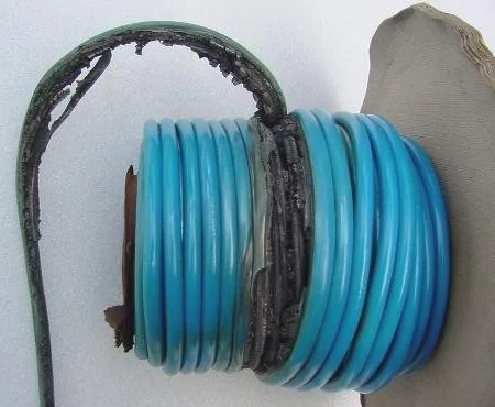 Ford Mustang Mach-E Stupid charging question: L2 cable uncoiling? 1740862439557-lq