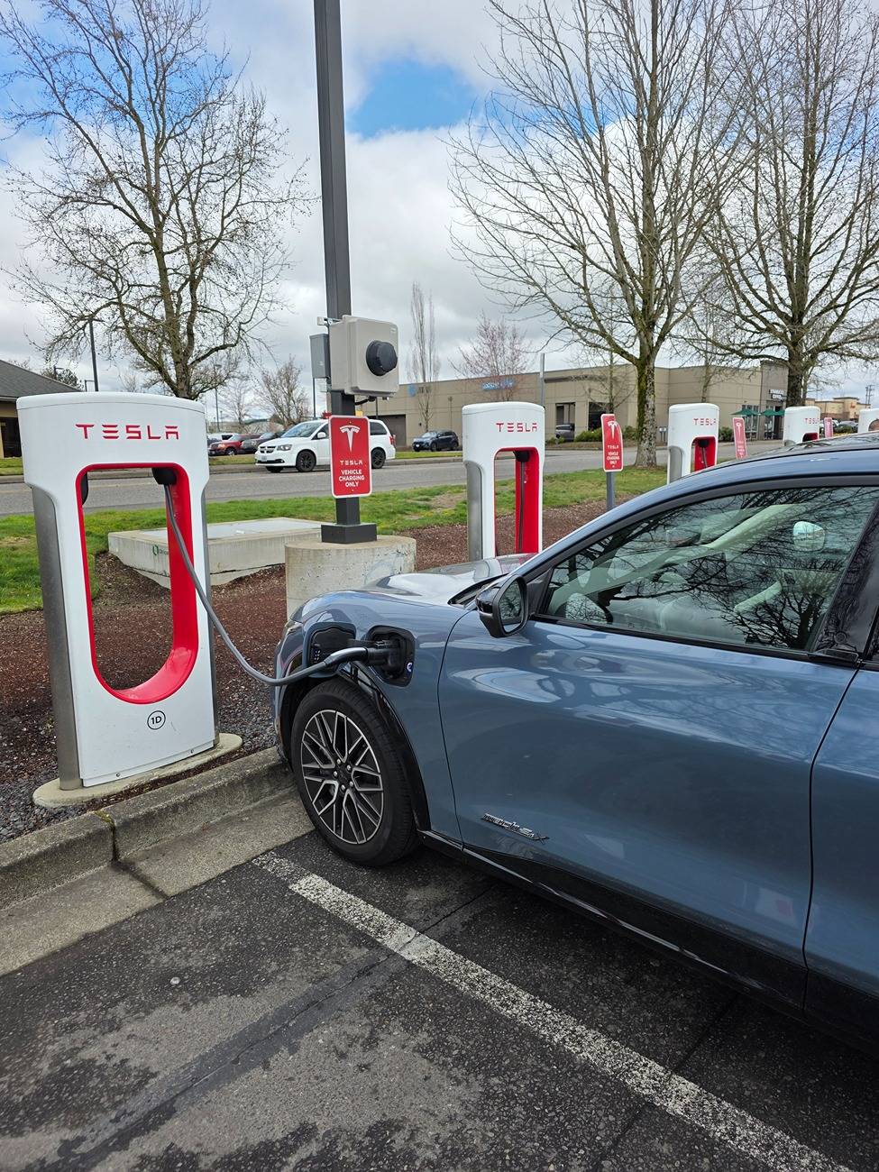 Ford Mustang Mach-E First time charging at a Tesla charger Tesla Charger