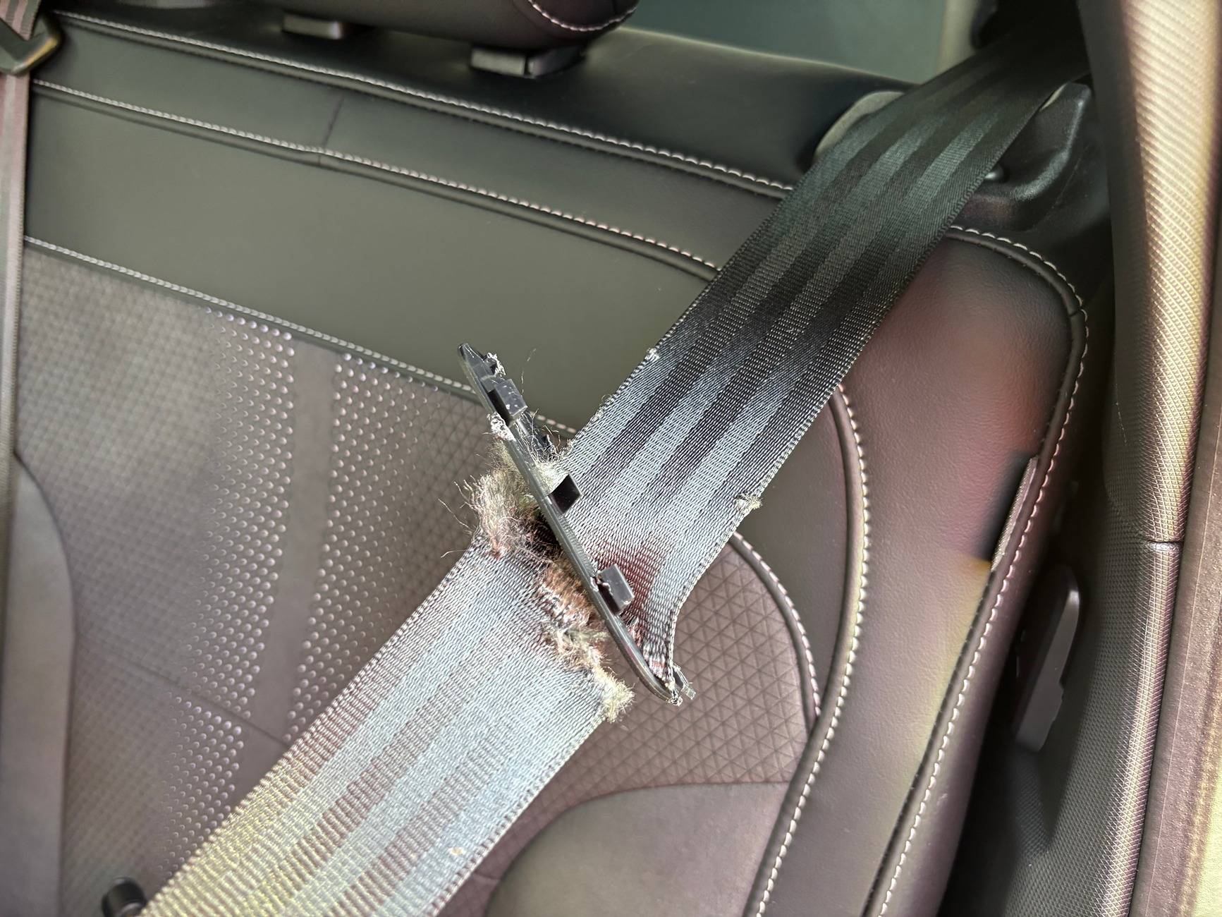 Ford Mustang Mach-E Seatbelt Damage IMG_0992