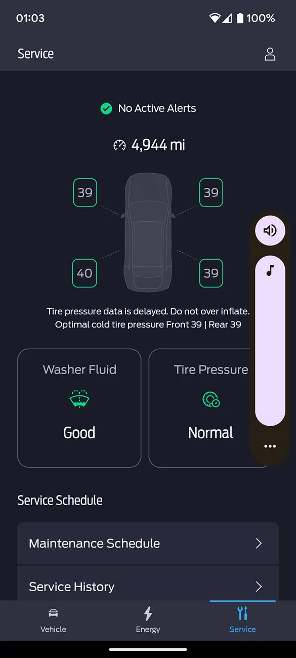 Ford Mustang Mach-E Tire Pressure Screenshot_20250405-010350