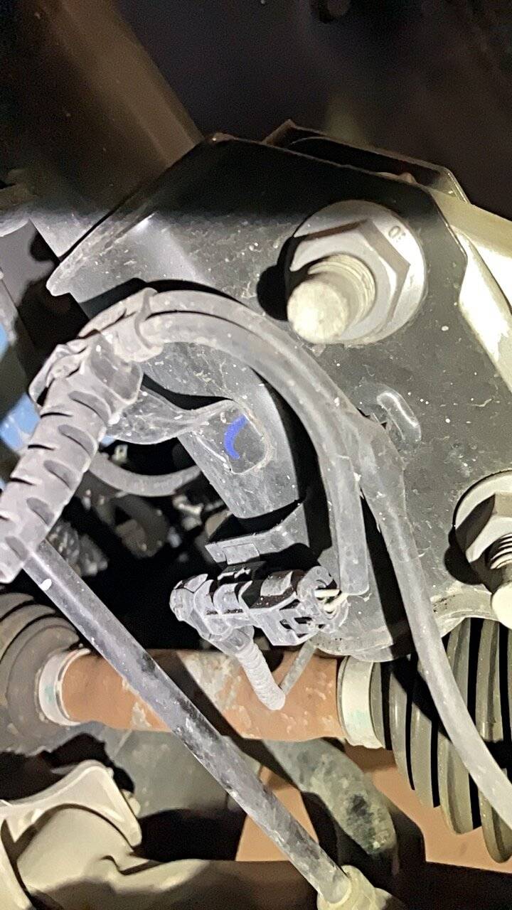 Ford Mustang Mach-E New GPTE front struts needed after 30K miles? IMG_6079