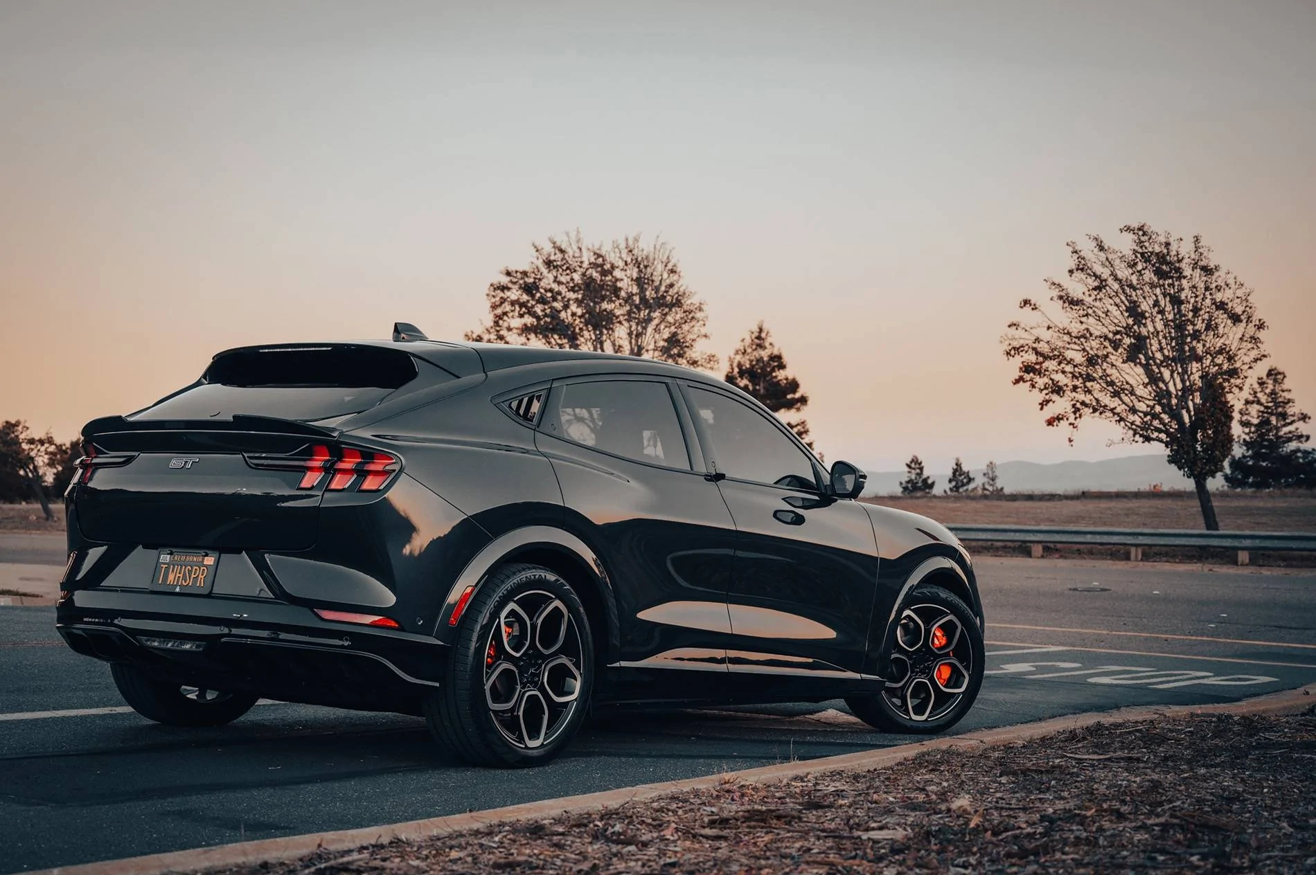 Ford Mustang Mach-E Rear wiper delete? GT-107