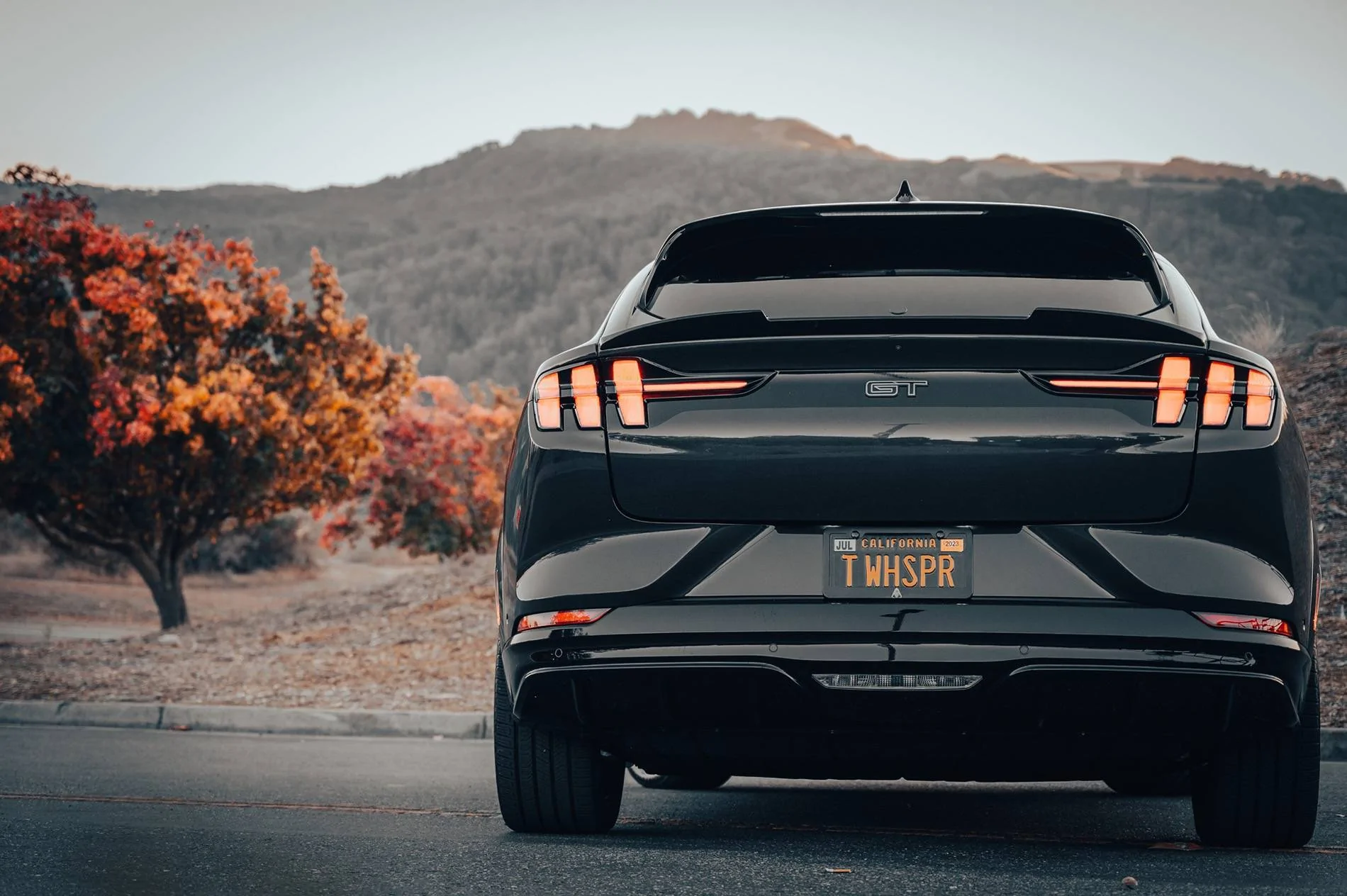Ford Mustang Mach-E Rear wiper delete? GT-106