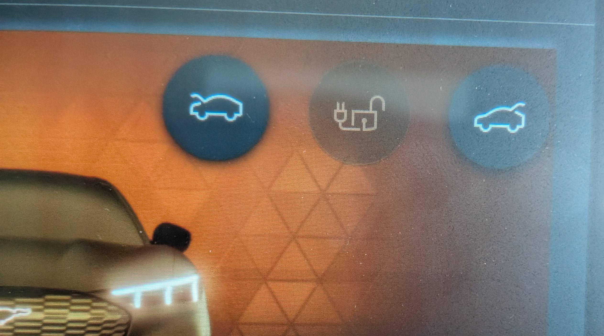 Ford Mustang Mach-E What's this lock symbol? PXL_20250415_001732347