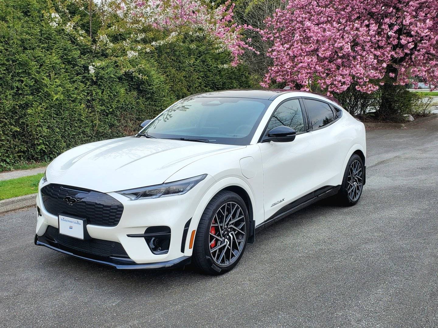 Ford Mustang Mach-E STAR WHITE METALLIC Mach-E Photos My White 2022 Mach-E GT 1080
