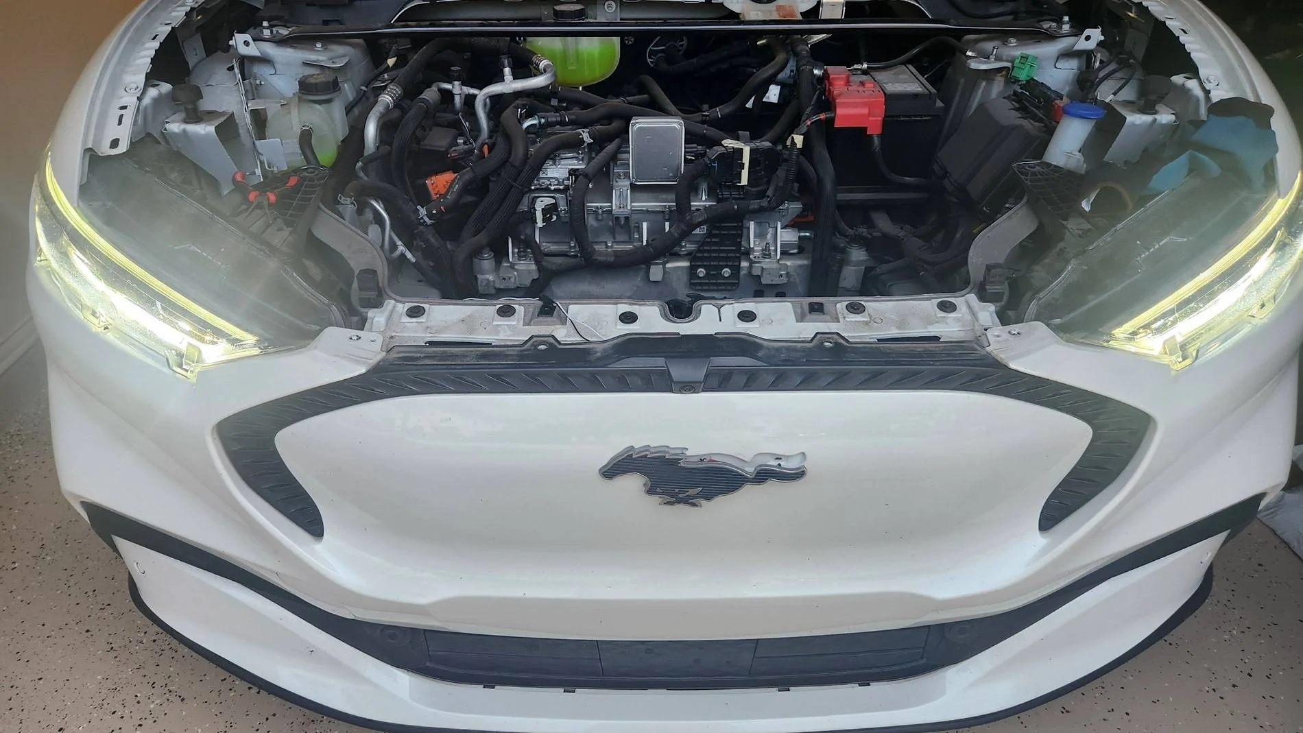 Ford Mustang Mach-E BSKT Design LED Ponies Front1