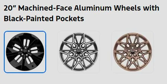 Ford Mustang Mach-E 2025 GT Base wheels - what's the base wheel under the cover look like? 1747856196921-xh
