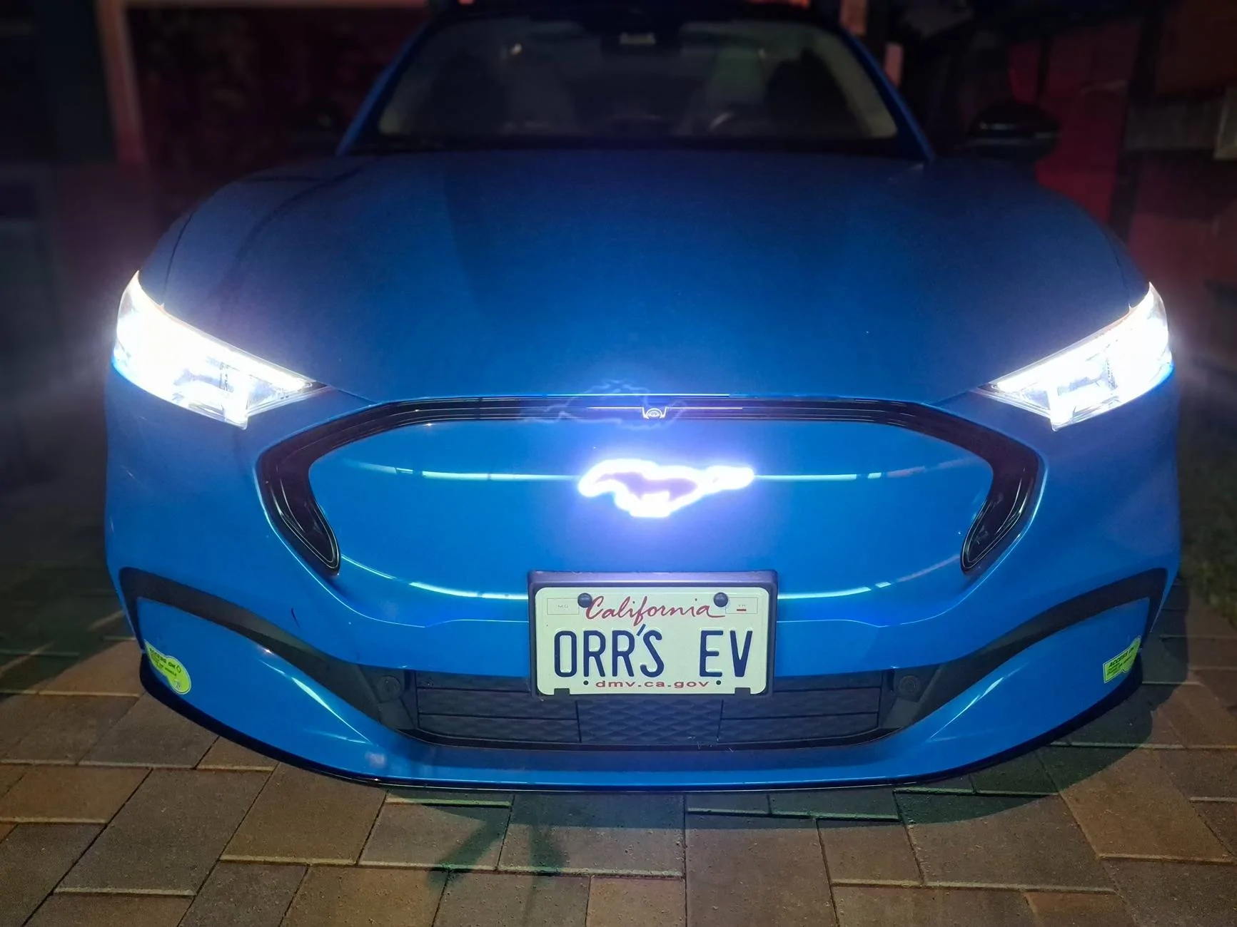 Ford Mustang Mach-E BSKT Design LED Ponies 1000014055