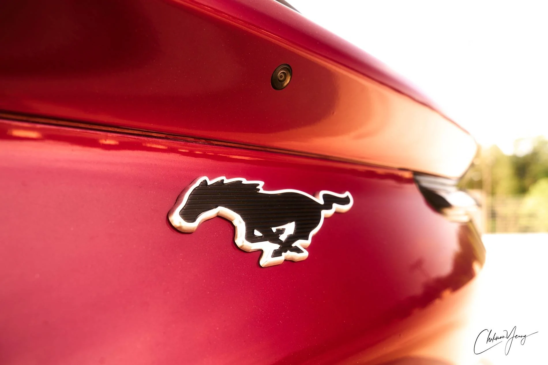 Ford Mustang Mach-E MOLTEN MAGENTA METALLIC Mach-E Photos A1_07974