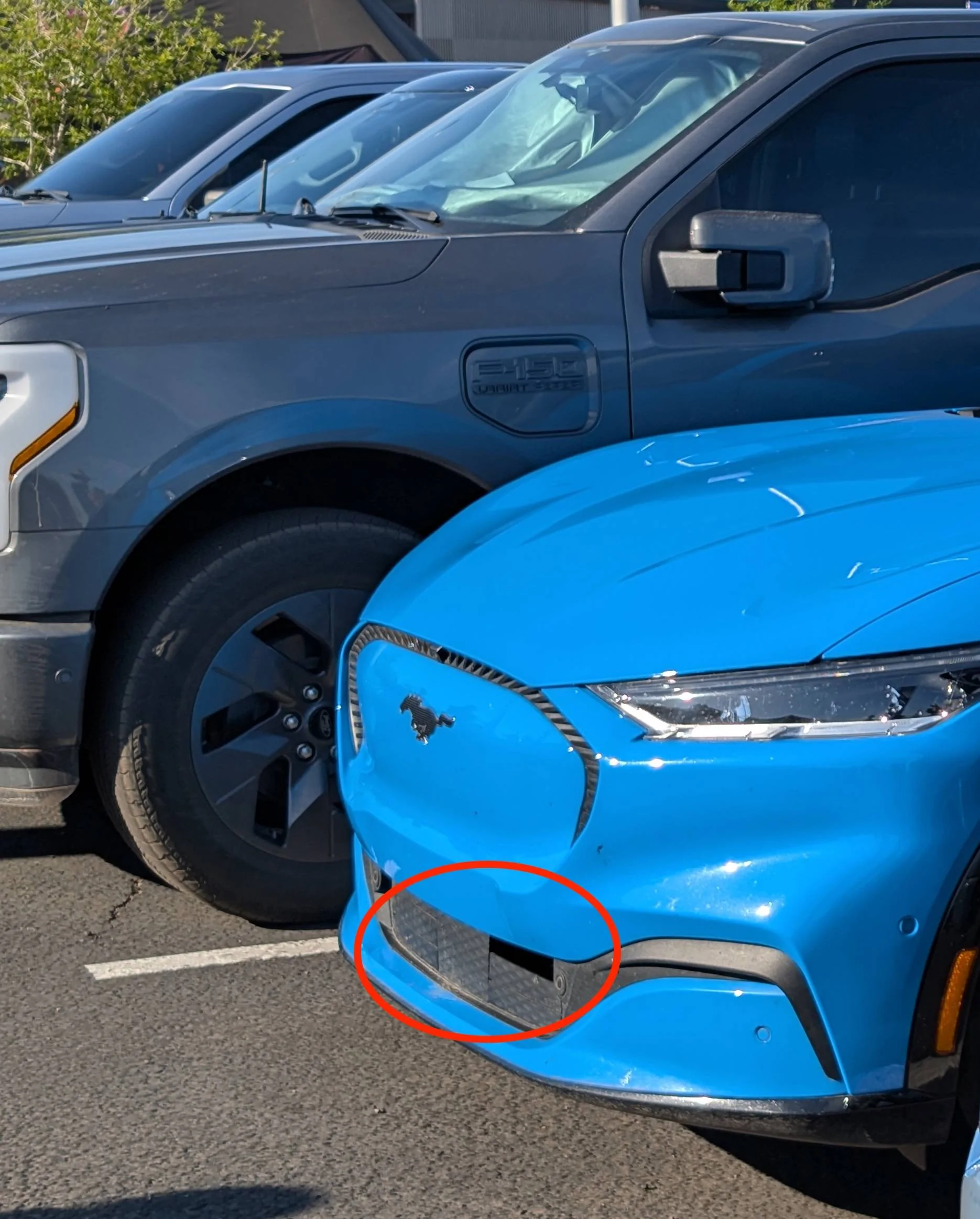 Ford Mustang Mach-E Replacing one panel on the front active air control? PXL_20250412_152540462.RAW-01.COVER