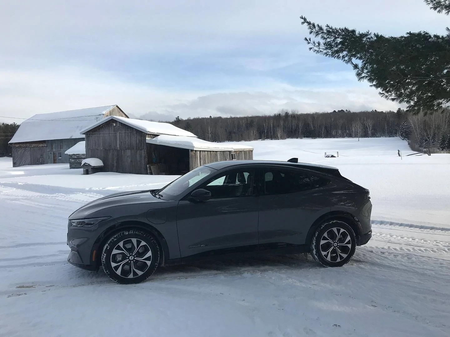 Ford Mustang Mach-E Canada's first to receive their cars? Mach-e2021