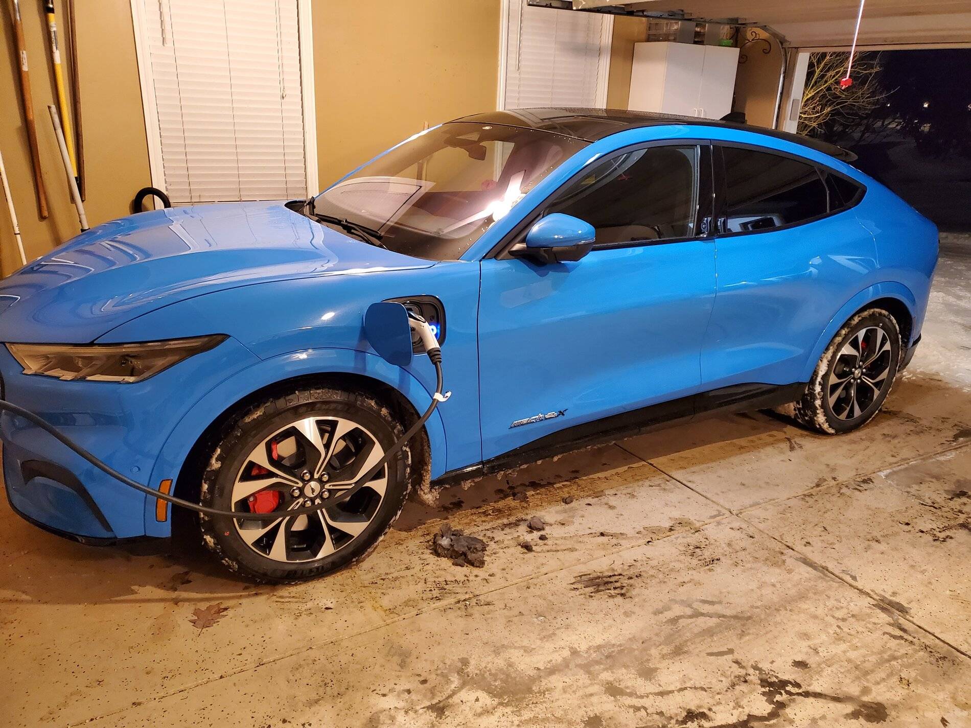 Ford Mustang Mach-E GRABBER BLUE Mach-E Photos 20210210_184940