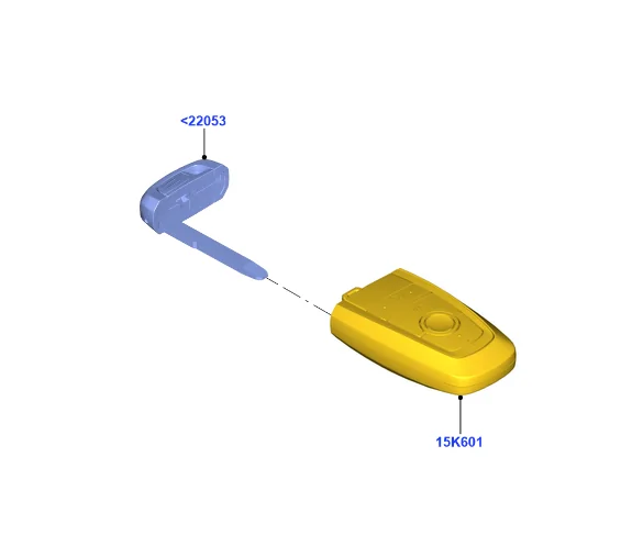 Ford Mustang Mach-E Purchasing and Programming another FOB 1613060757905