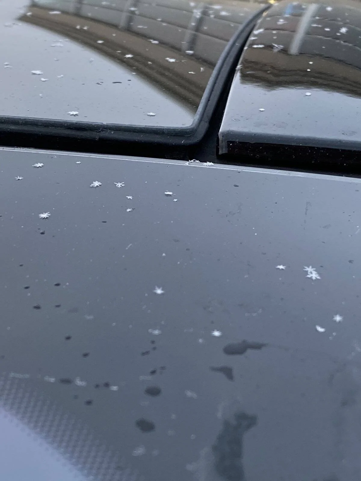 Ford Mustang Mach-E [4th Update...Kinda] Wind noise from panoramic roof 136D5521-416F-4943-8B13-A2124BA11725