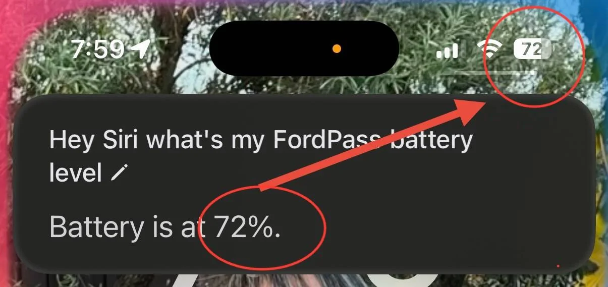 Ford Mustang Mach-E Ford Pass update IOS IMG_2460