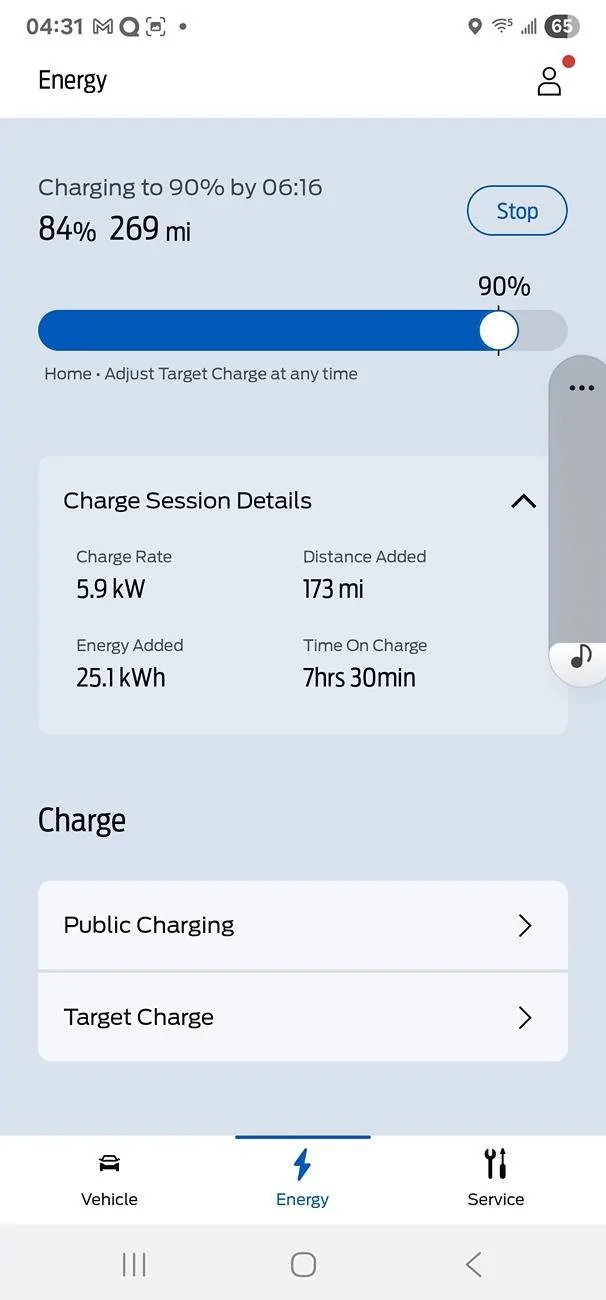 Ford Mustang Mach-E Charging log from the App - Make it Make Sense Screenshot_20250614_043141_FordPass