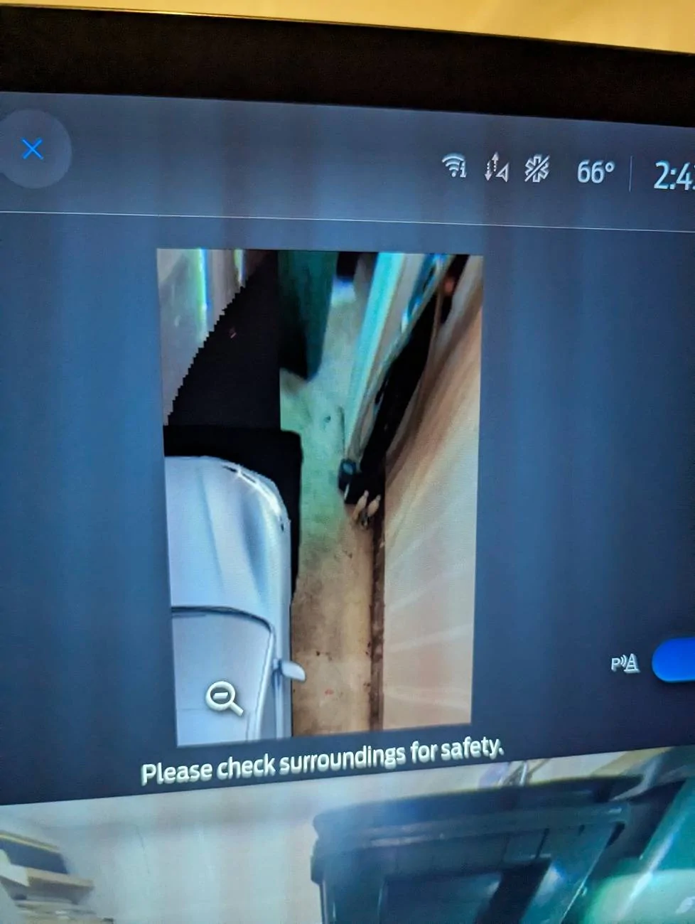 Ford Mustang Mach-E 360 Camera Glitching? 1000007495