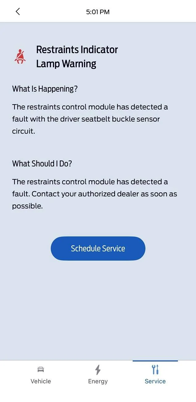 Ford Mustang Mach-E Seat belt monitoring fault - anyone else? macheseatbelterror