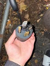 Ford Mustang Mach-E Compatibility Question 1751043386524-or