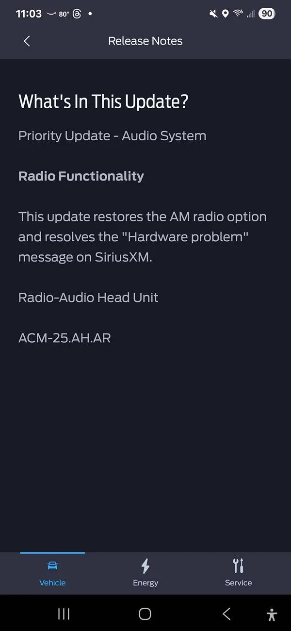 Ford Mustang Mach-E ACM-25.AH.AR Priority Update - Audio System 1000011247