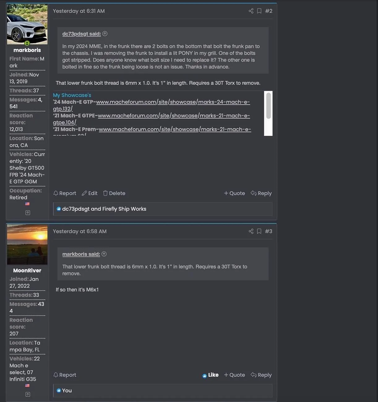 Ford Mustang Mach-E Please tidy up the forum a bit 2