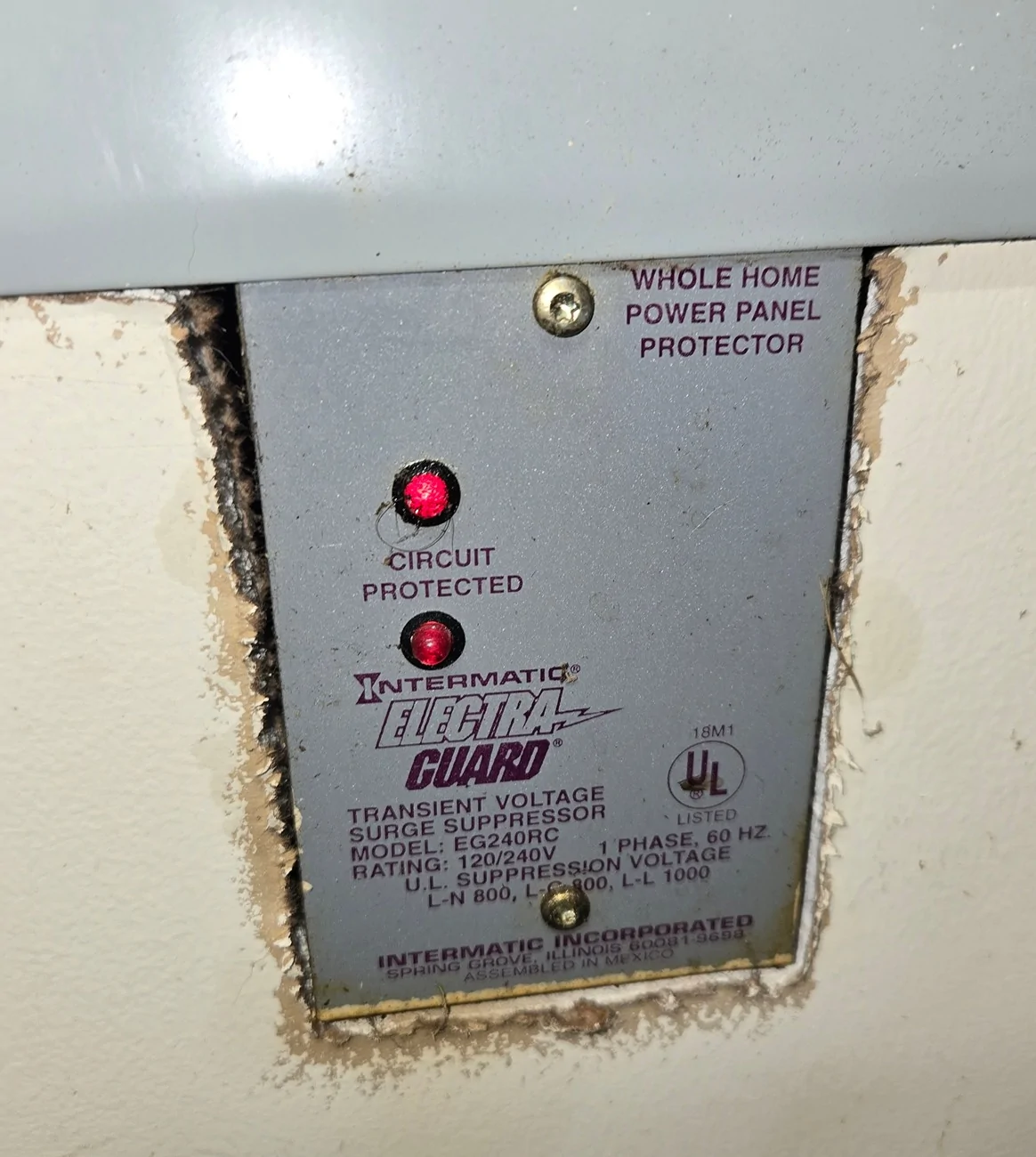 Ford Mustang Mach-E Lightning strike on house during charging ElectraGuard