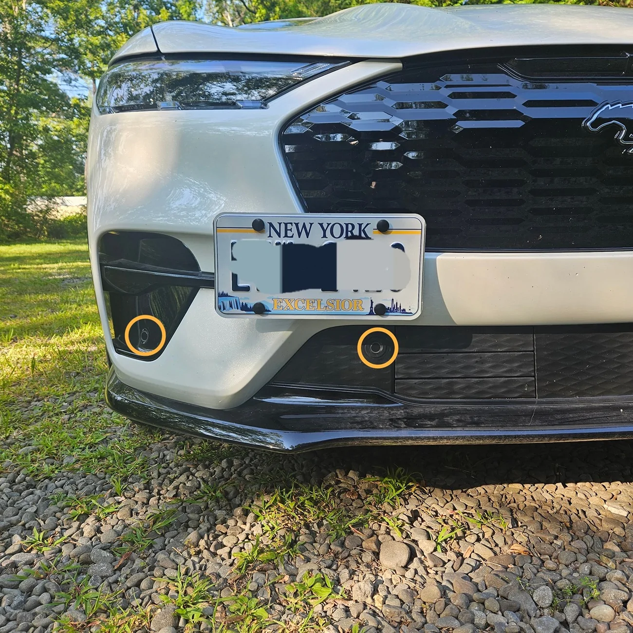 Ford Mustang Mach-E No Drill License Holder Options? 2025_mach-e_plat
