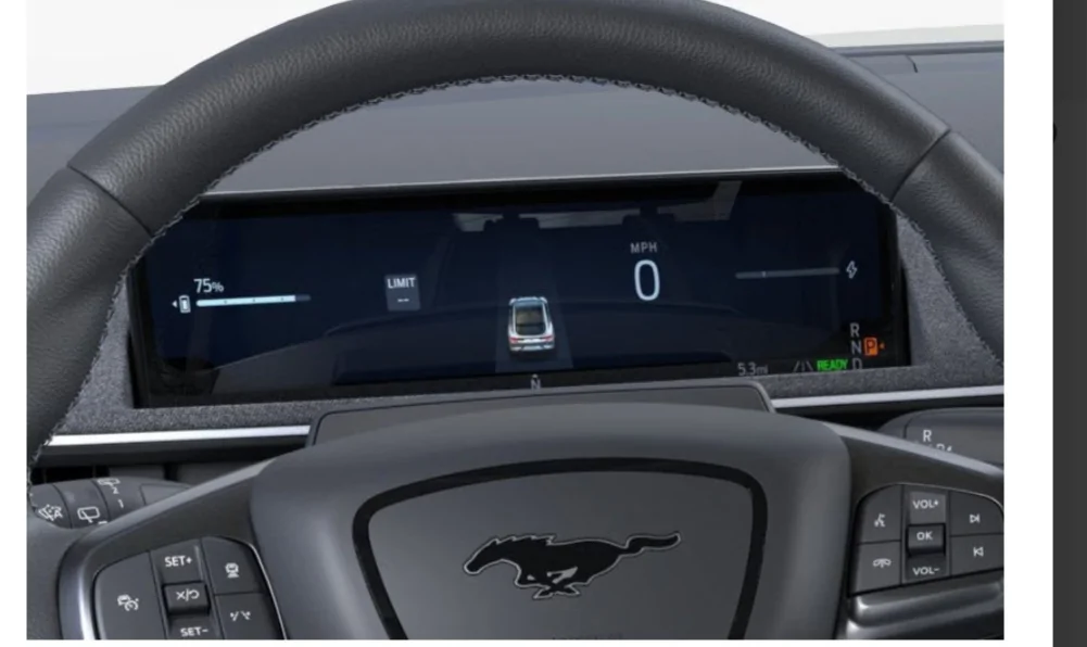 Ford Mustang Mach-E Black or white dash screens 1000007976