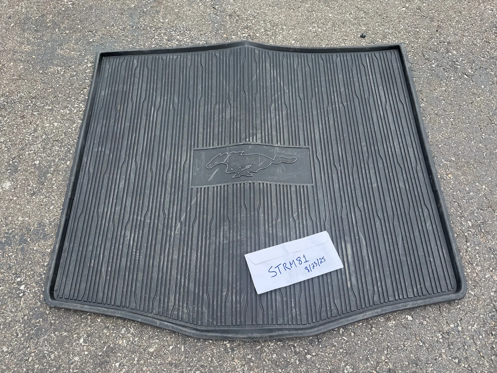 Ford Mustang Mach-E Mach-E 2021-2025 Cargo Area Liner - $75 IMG_5227