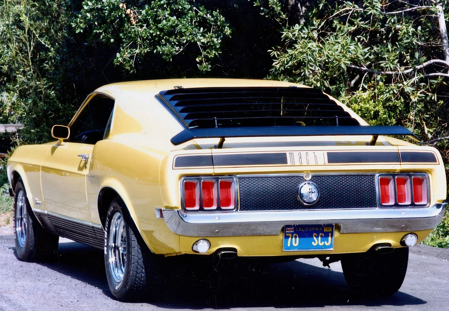 Ford Mustang Mach-E Rear window louvers img013