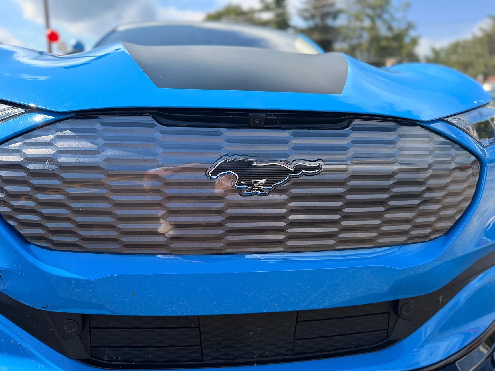 Ford Mustang Mach-E Non GT Grill IMG_1165
