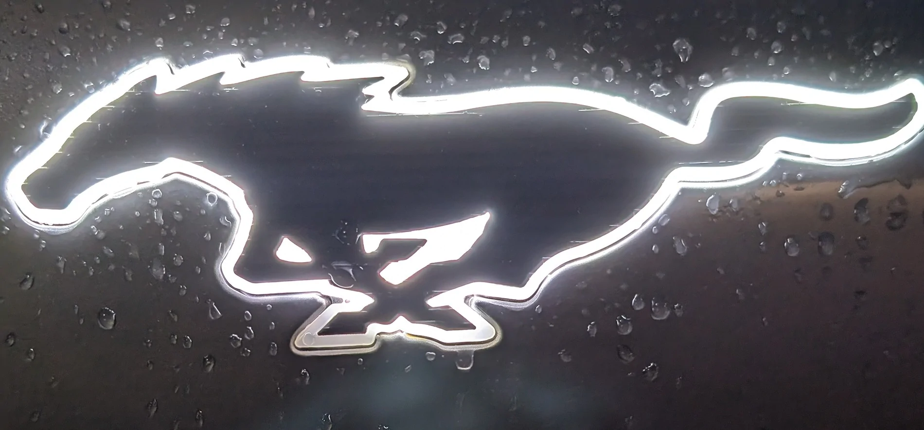Ford Mustang Mach-E BSKT Design LED Ponies 1000011355