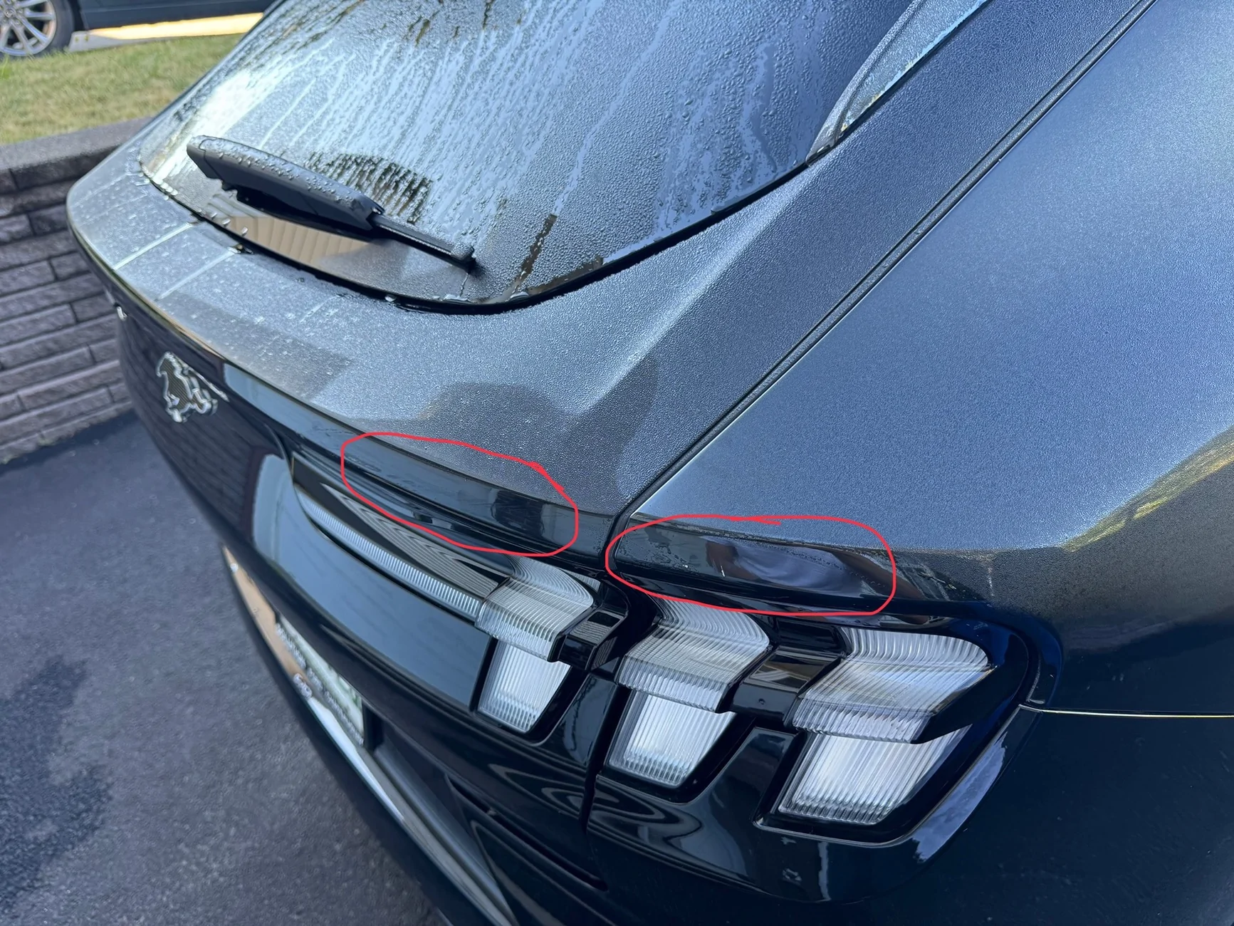 Ford Mustang Mach-E Scratches in rear panels, will it rust? IMG_0922