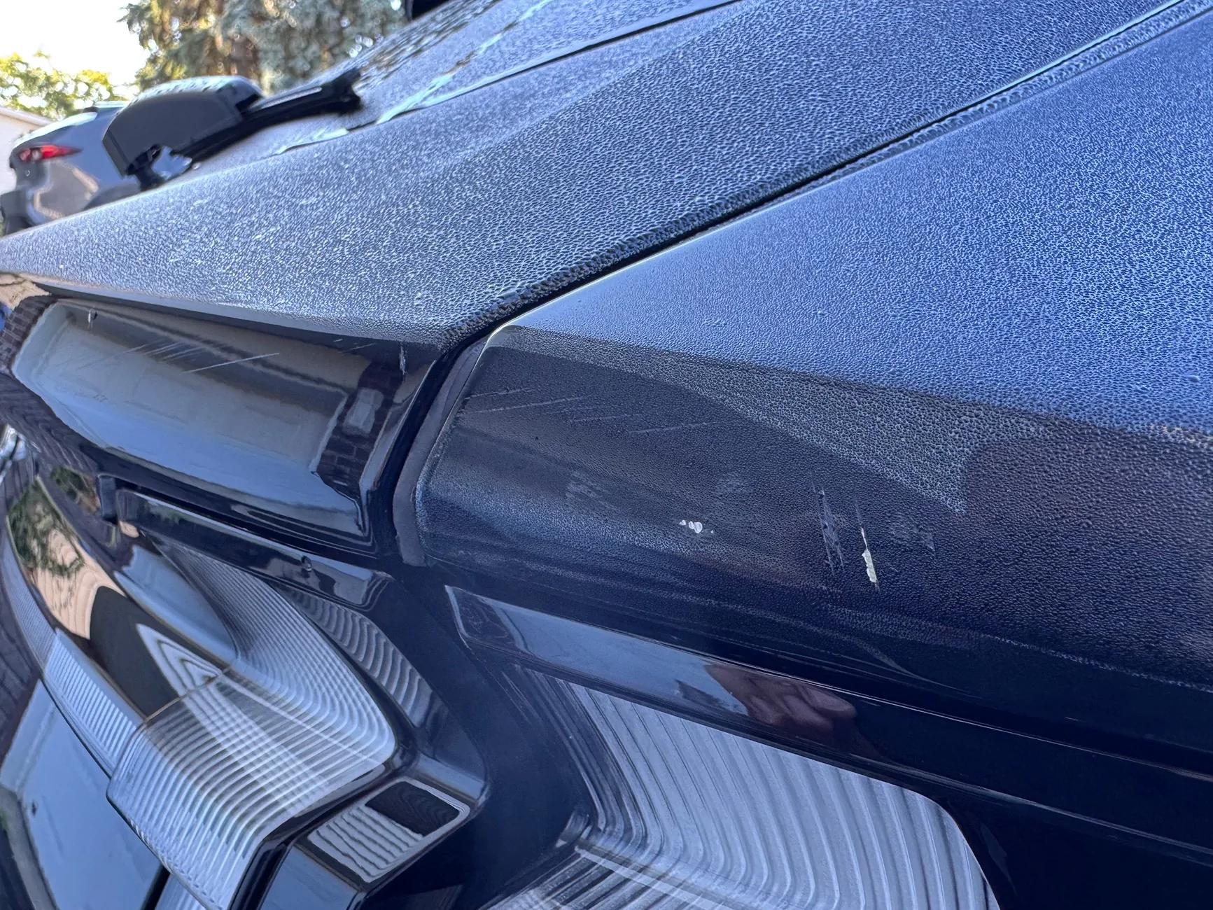 Ford Mustang Mach-E Scratches in rear panels, will it rust? IMG_0921