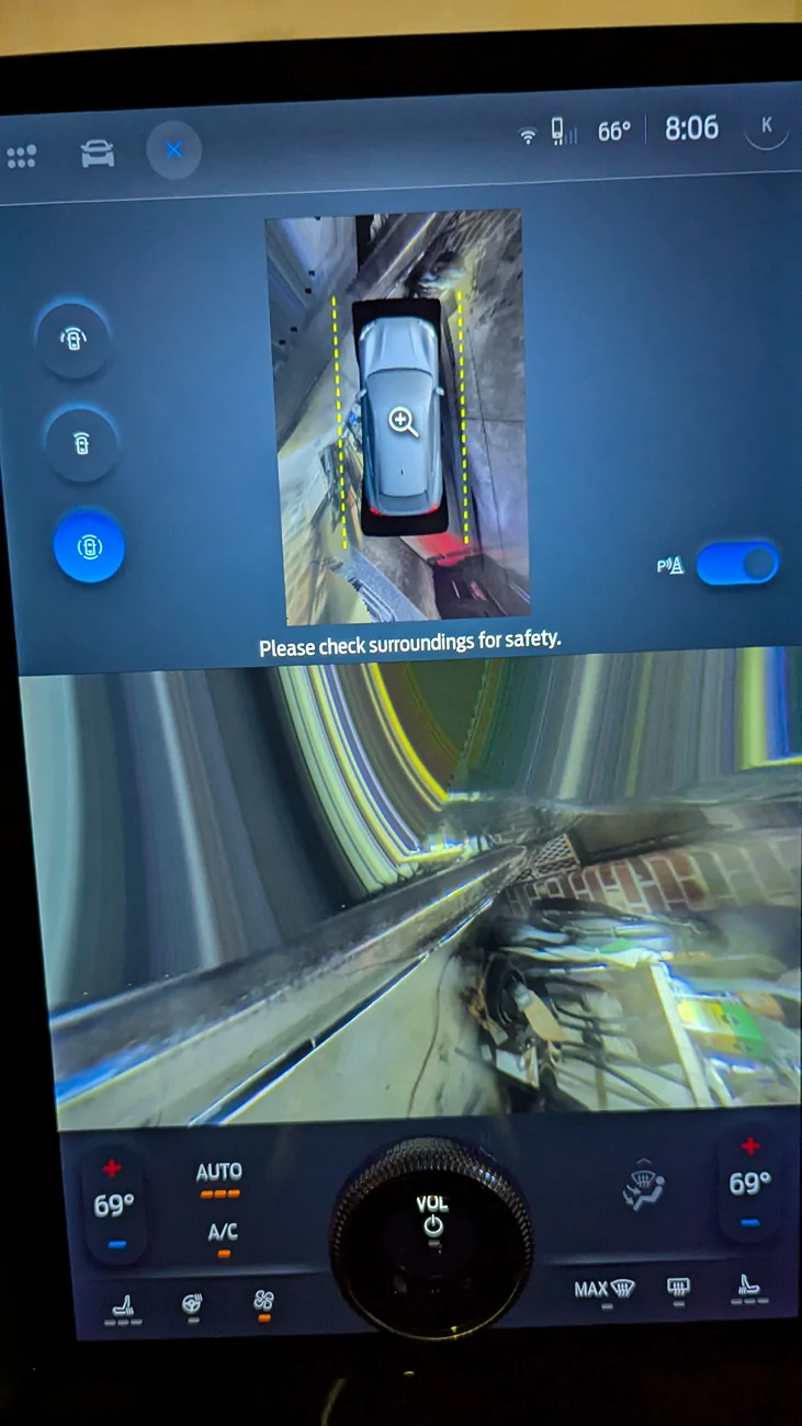Ford Mustang Mach-E Cameras going crazy? 1000009727
