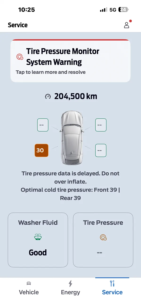 Ford Mustang Mach-E TPMS Error? IMG_0992