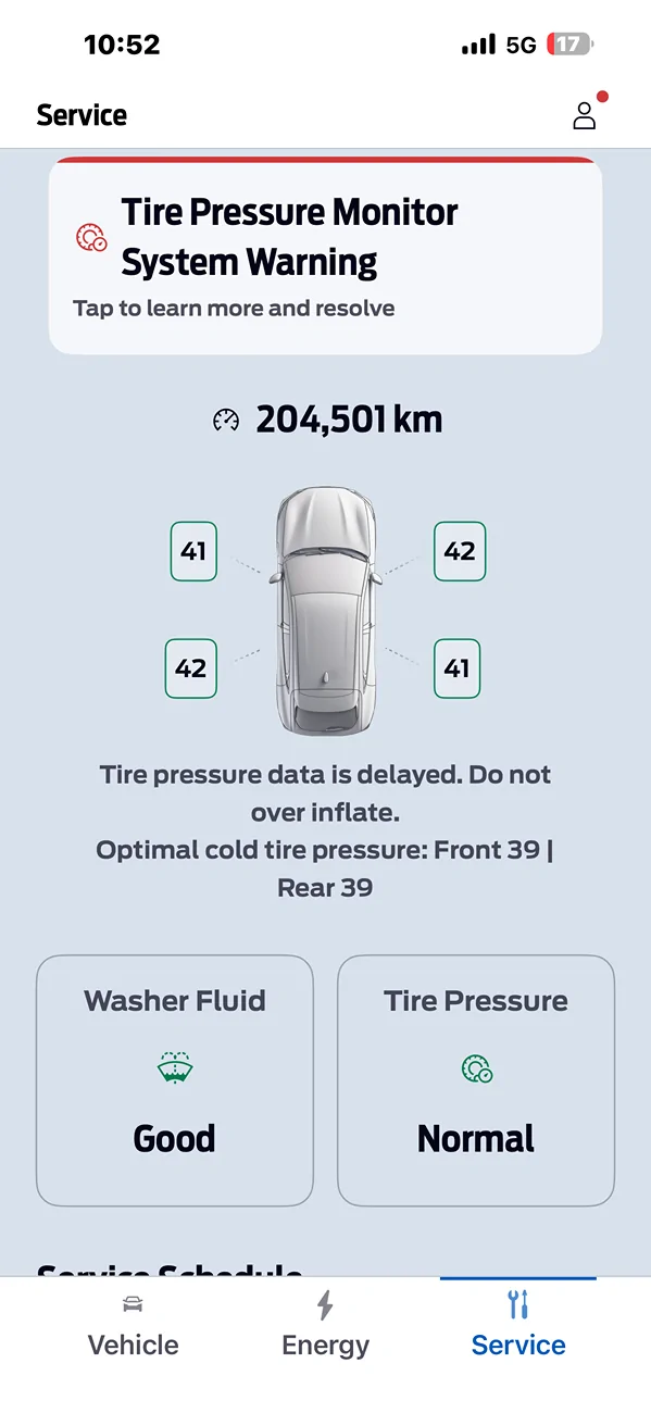 Ford Mustang Mach-E TPMS Error? IMG_0994