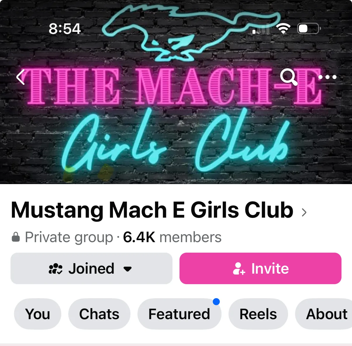 Ford Mustang Mach-E Got a Mini Pony on my Mach E 1757984142731-kg