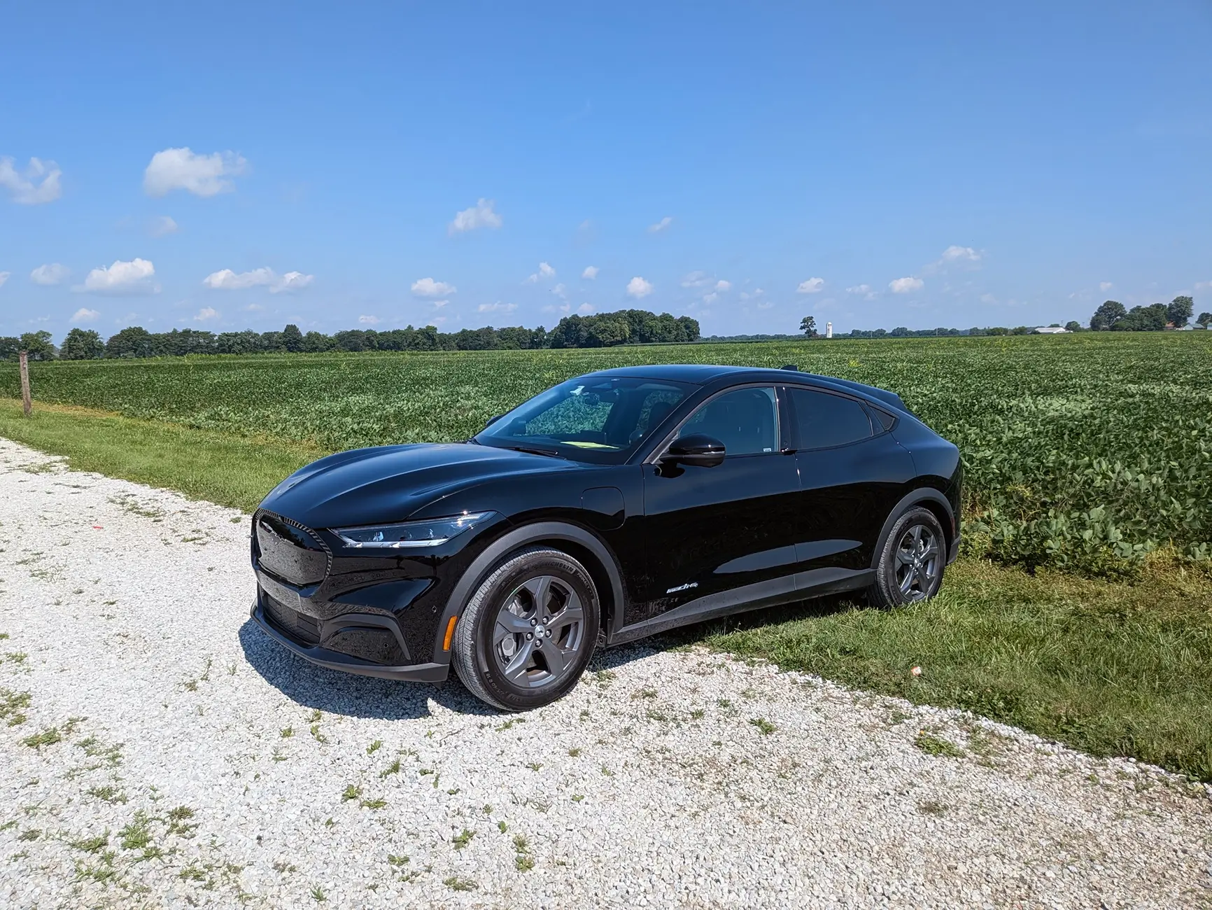 Ford Mustang Mach-E Come see how good your Mach-e could sound at car audio world finals 2025! mach-e grass