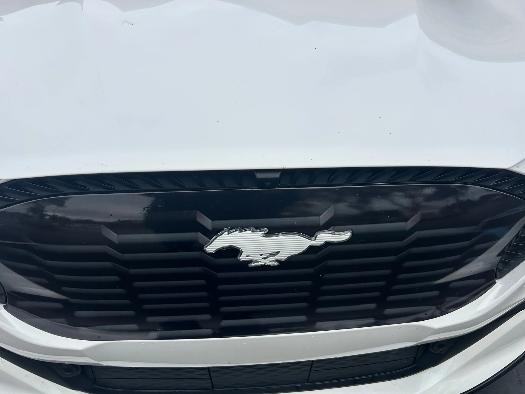 Ford Mustang Mach-E new MODS 3