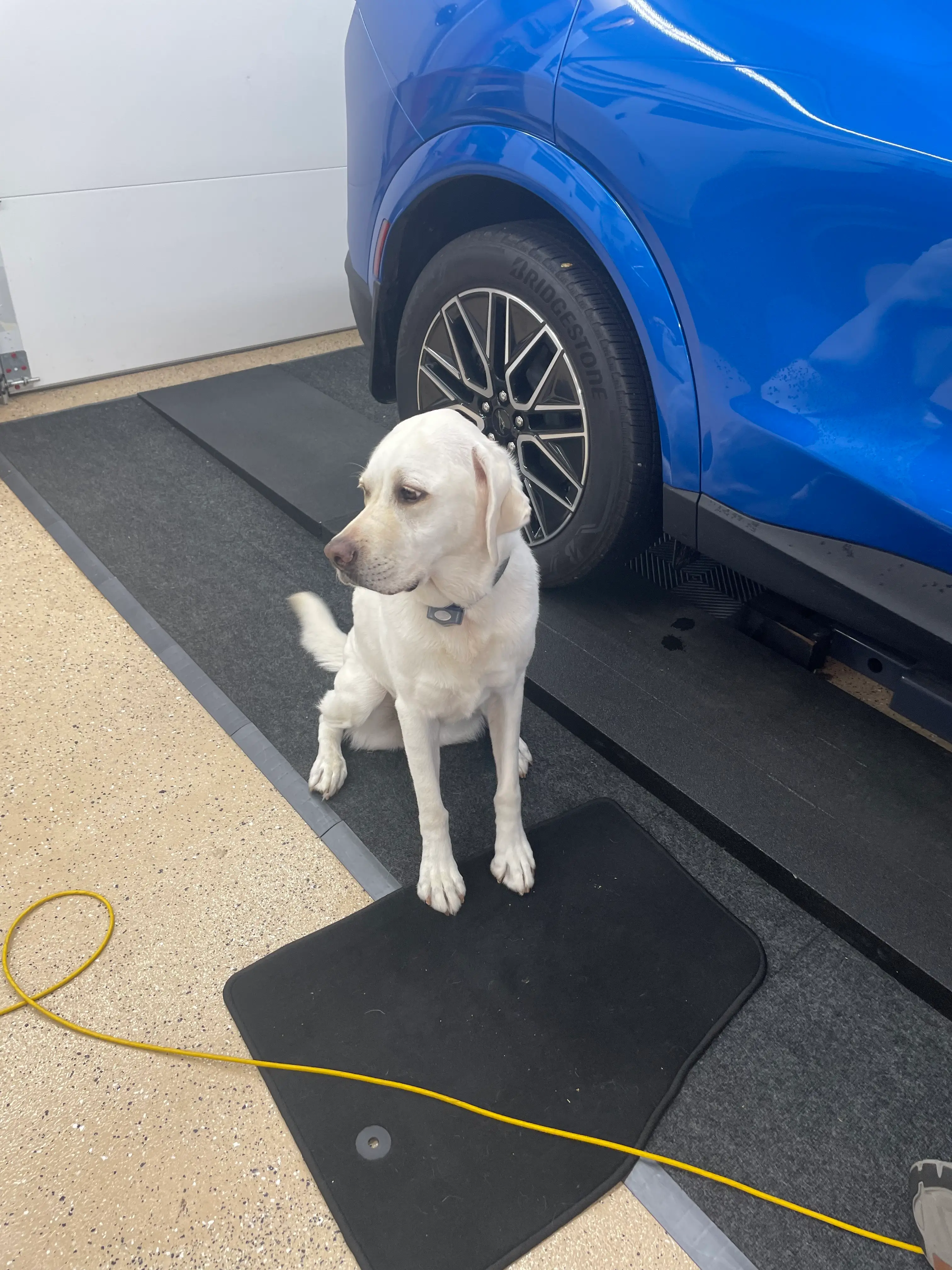 My Rally Springs and Eibach Sway Bar Install | MachEforum - Ford ...