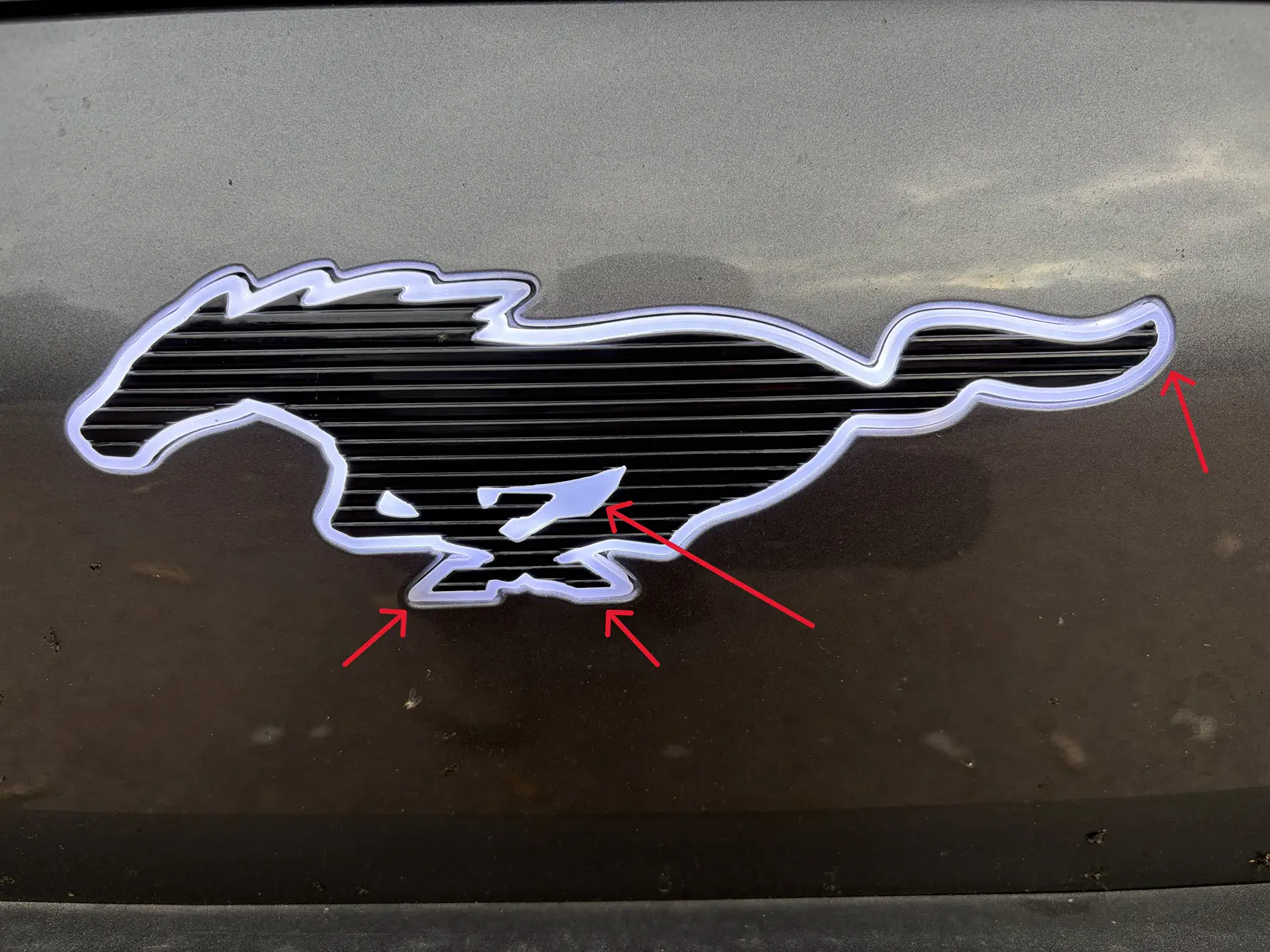 Ford Mustang Mach-E BSKT Design LED Ponies IMG_2527