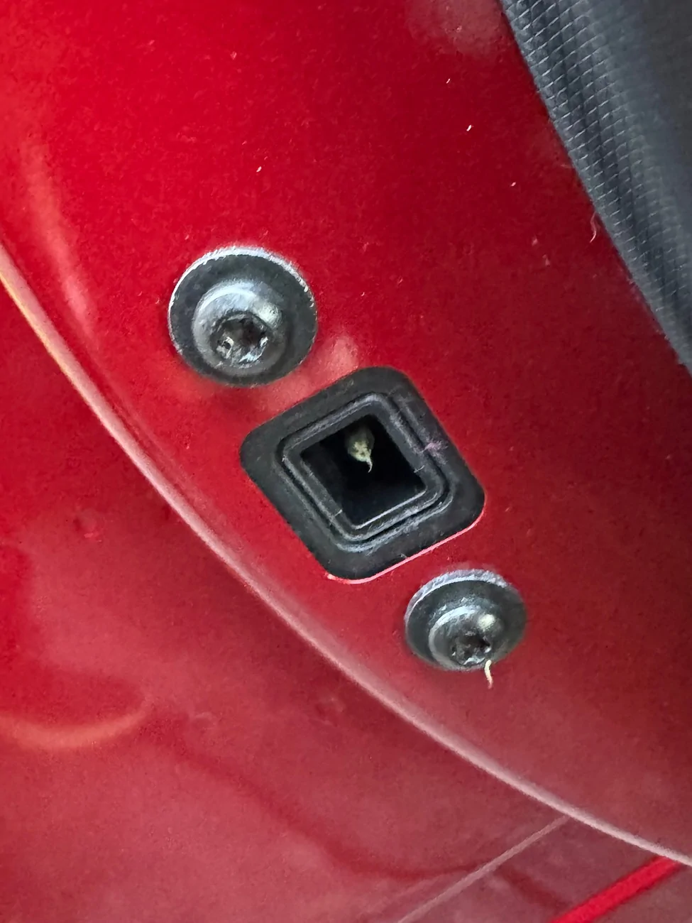 Ford Mustang Mach-E Door Pusher part Missing IMG_5035
